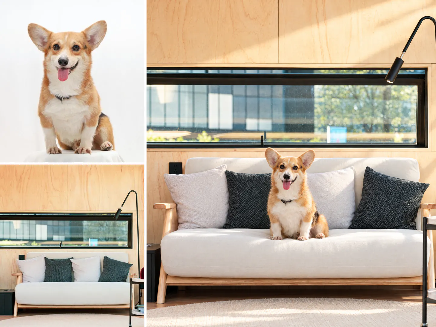 Two reference images on the left, a corgi on a white background and a living room with a white sofa, and on the right the AI-generated image of the corgi sitting on that sofa